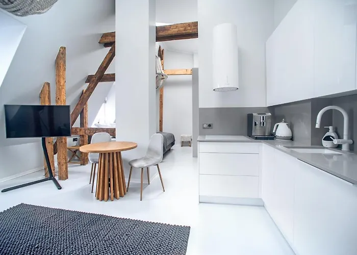 Wilda Nova Apartment *