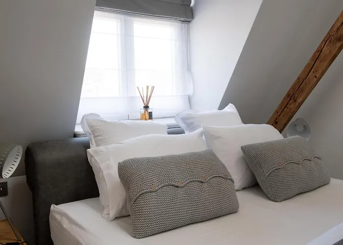 Wilda Nova Apartament